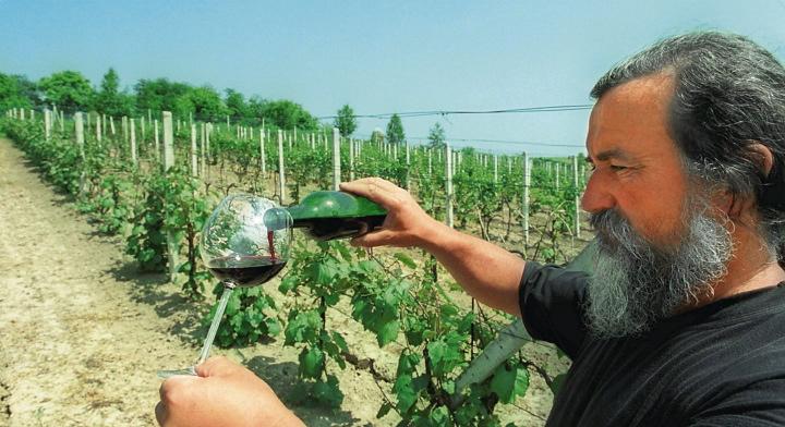 Polskie wino Polskie wino