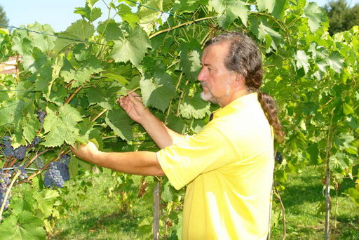 Roman Myśliwiec