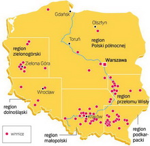 Mapa polskich winnic
