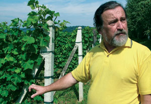 Roman Myliwiec - Winnica Golesz
