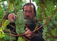 Roman Myśliwiec